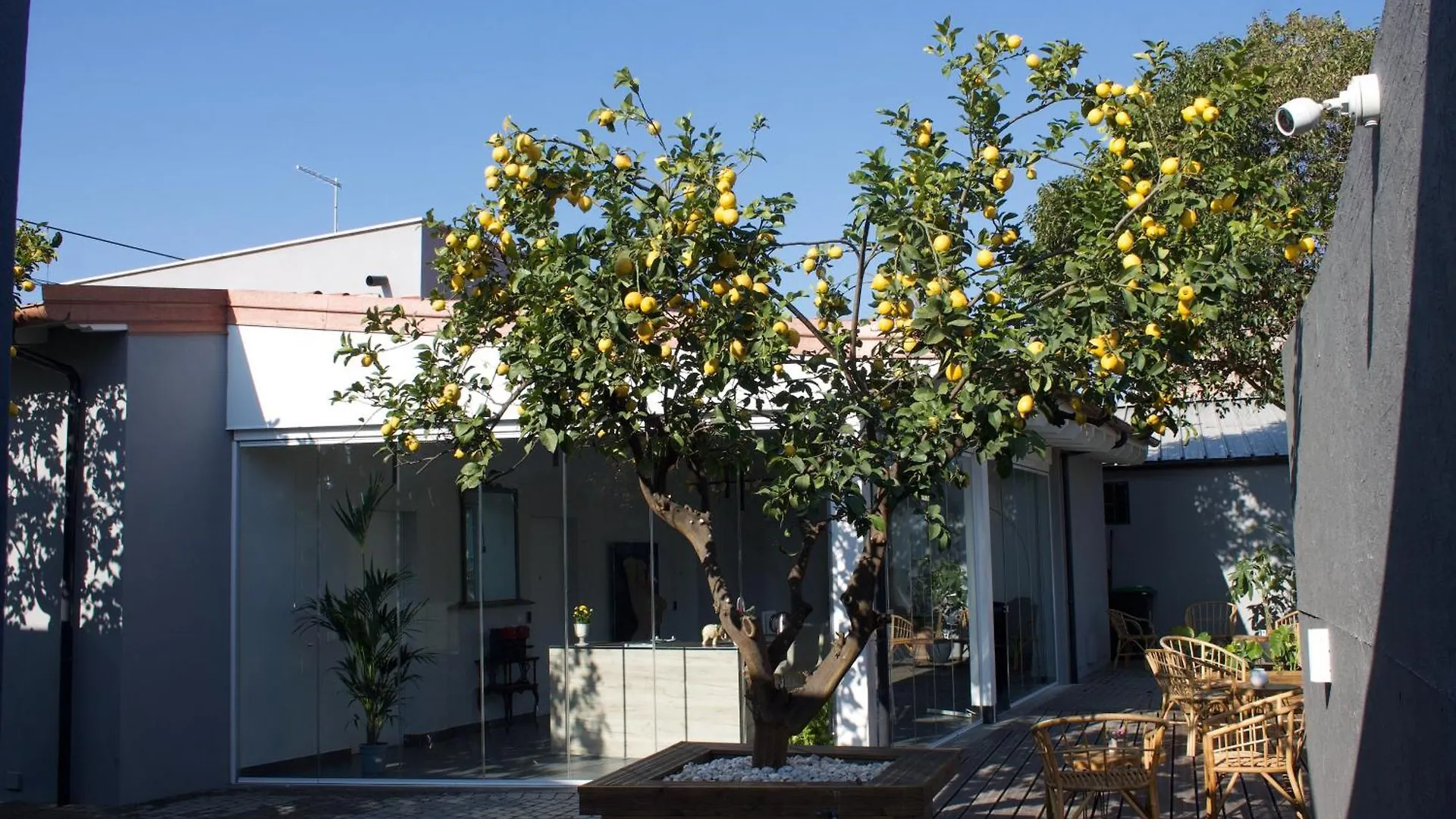 Domus Matris Guest House Rome