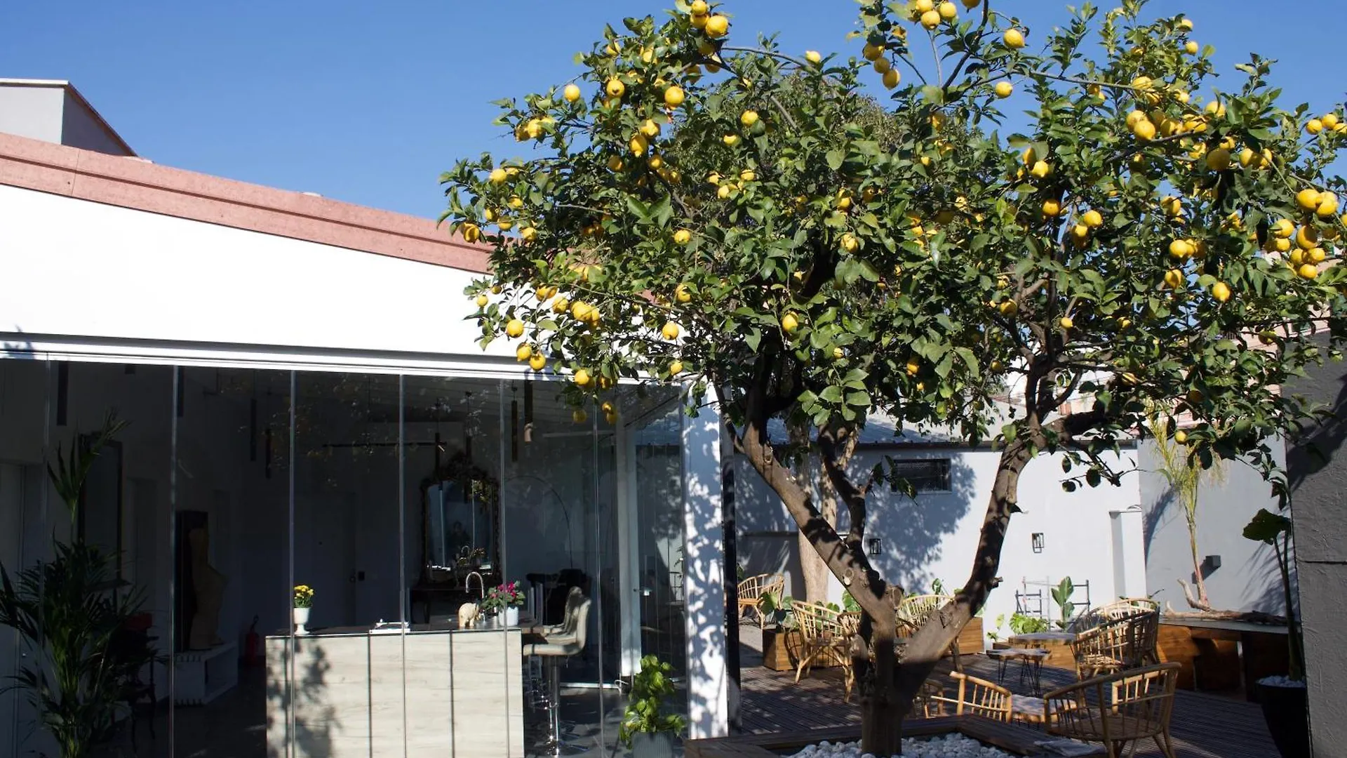 Domus Matris Guest House Rome Italy
