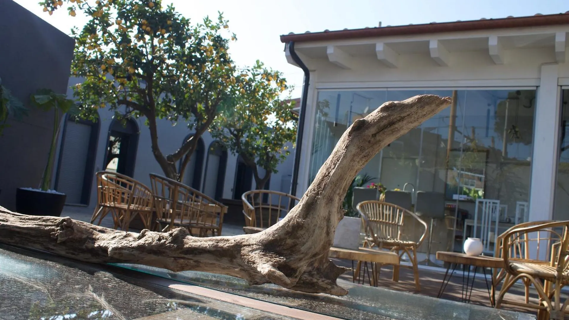 Domus Matris Guest House Rome