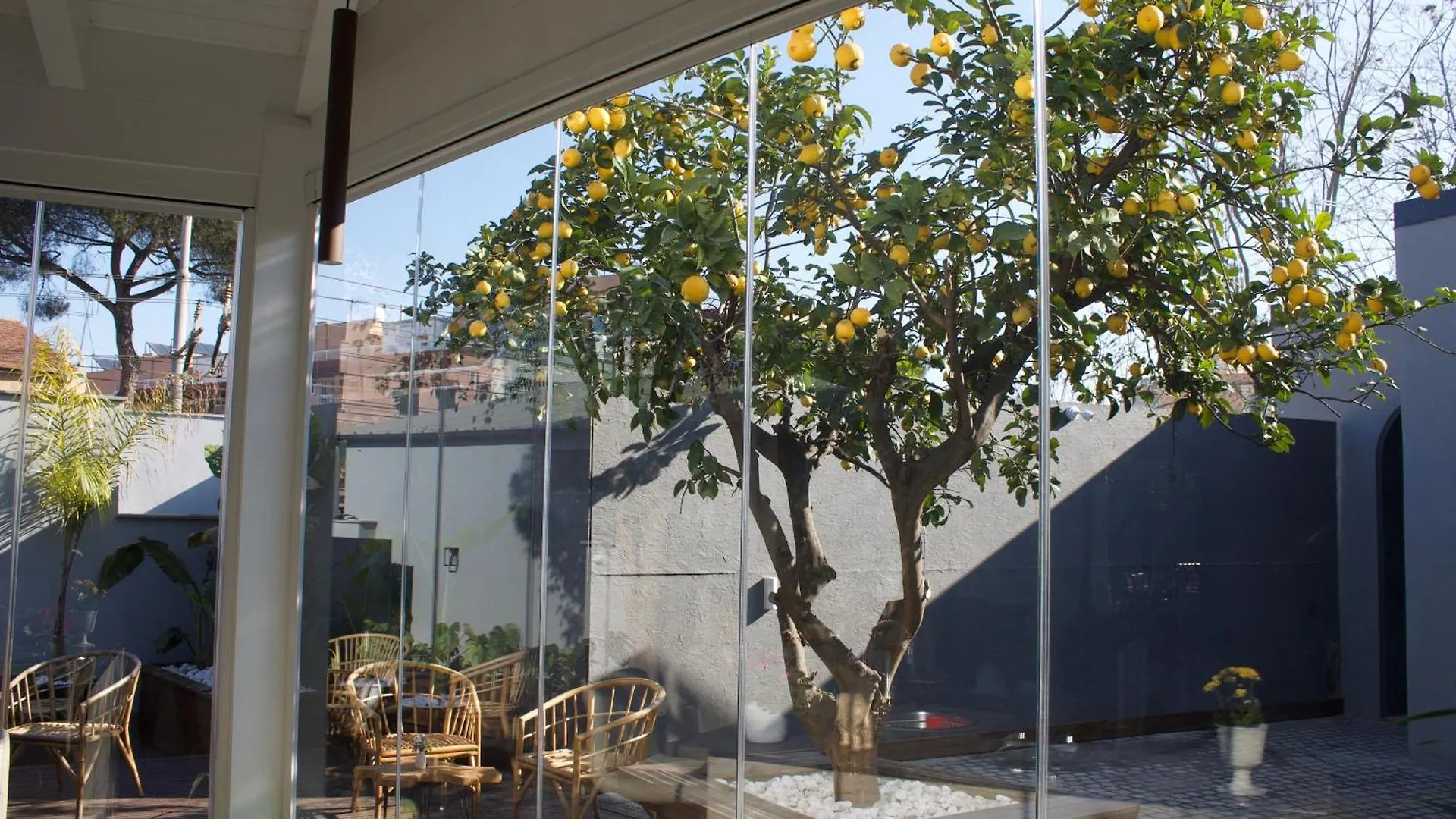 Domus Matris Guest House Rome Italy