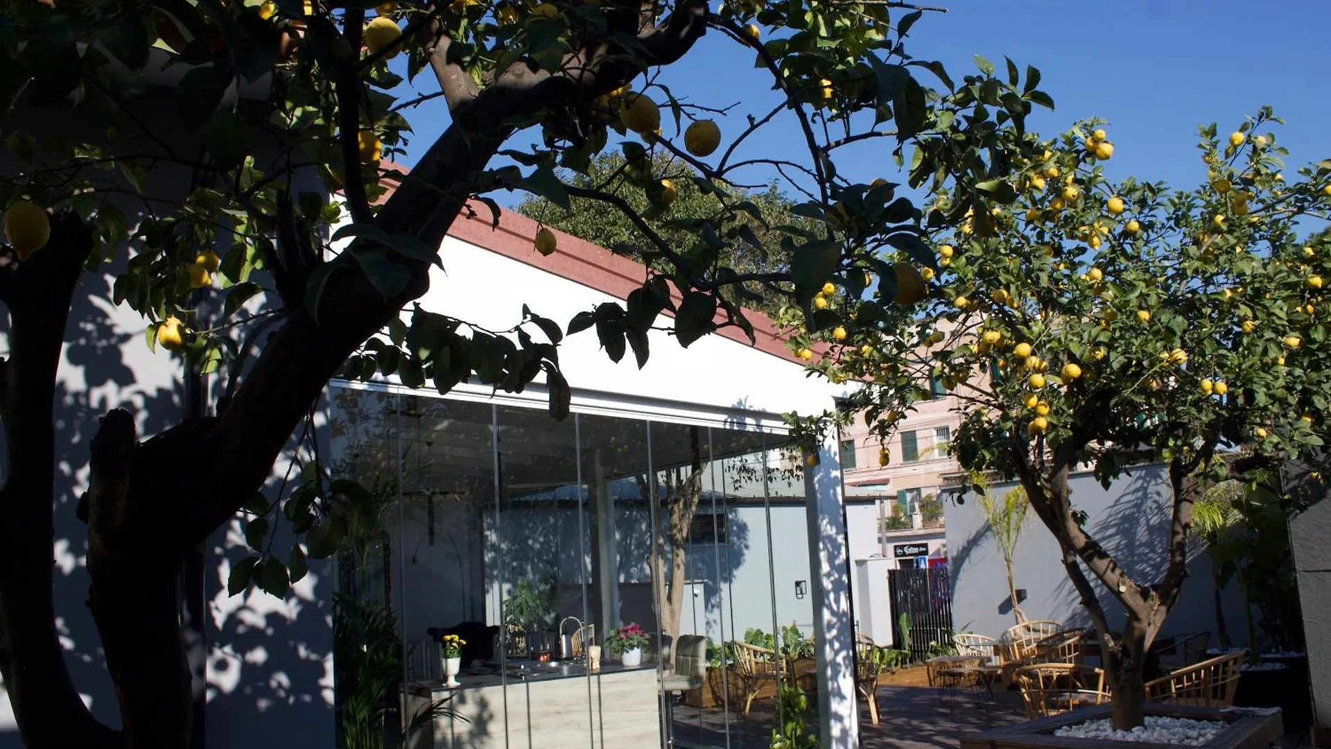 Domus Matris Guest House Rome