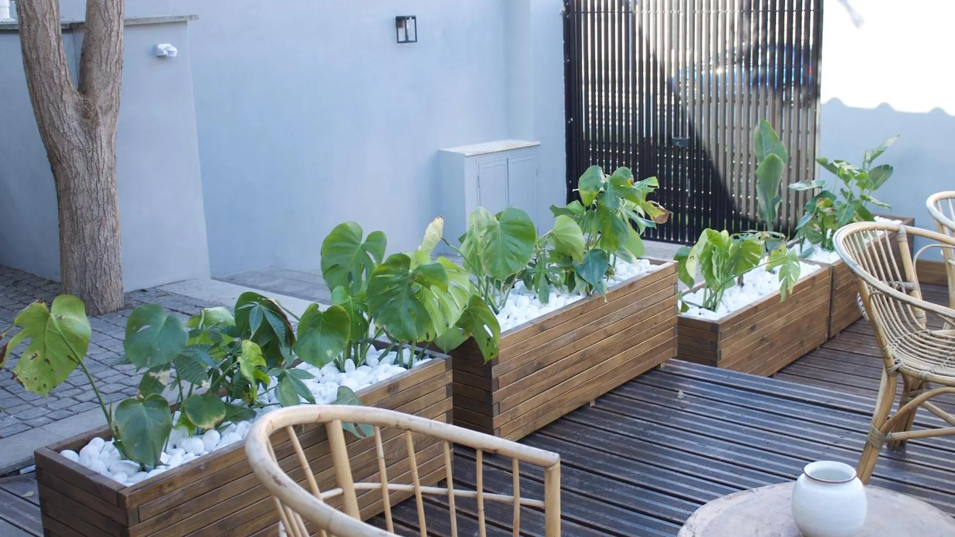 Domus Matris Guest House Rome 0*,